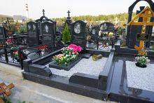 Фото наших работ